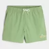 Malibu Beach Graphic Mid-Thigh Volley Swim Trunks