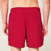 Mid-Thigh Volley Swim Trunks