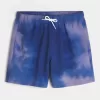 Mid-Thigh Volley Swim Trunks