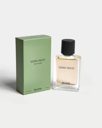 Scenic Route Cologne